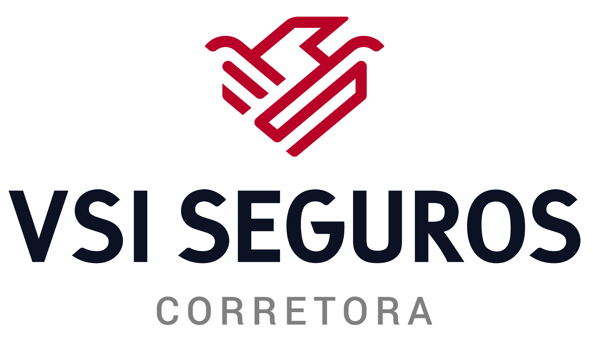 VSI Seguros